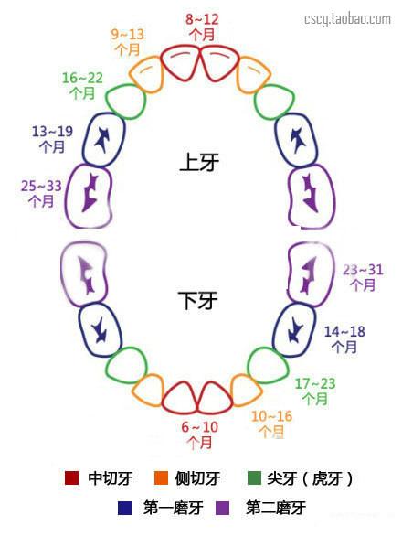 怀孕须知的知识（小两口该知道的怀孕常识）(15)