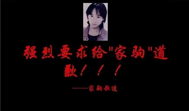 黄家驹死亡档案（1993年黄家驹意外离世）(33)