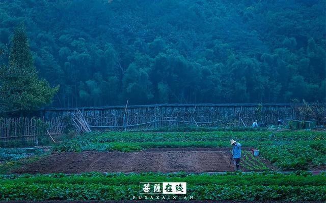 藏传佛教僧服种类（从僧衣看佛教三千威仪）(6)