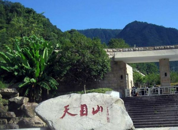 浙江天目山景区,禄丰市有天目山吗图2