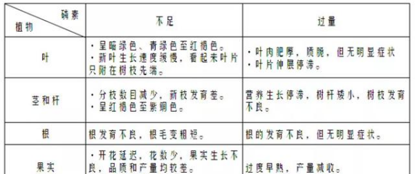 钾肥有哪些种类与用途,绿色植物的三大生理活动是什么图6