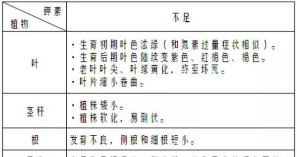 钾肥有哪些种类与用途,绿色植物的三大生理活动是什么图8