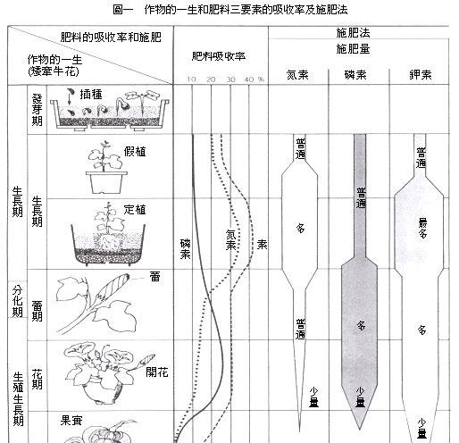 钾肥有哪些种类与用途,绿色植物的三大生理活动是什么图9