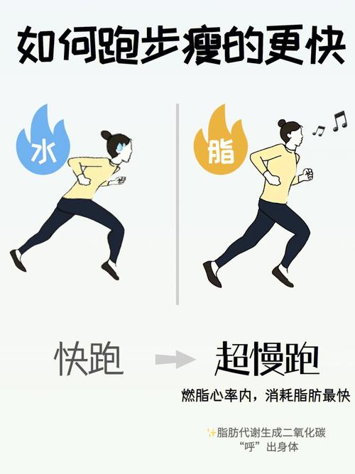 正确的跑步减肥时间（跑步减肥最佳时间点）