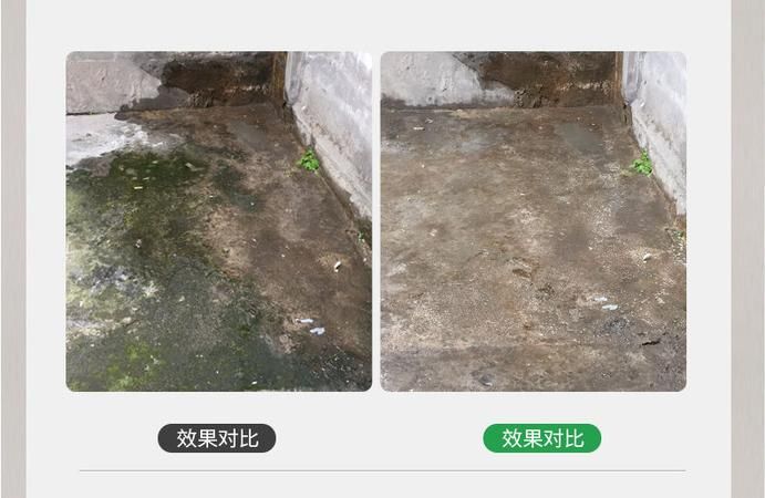 水泥地上的青苔用什么方法可以清除掉?