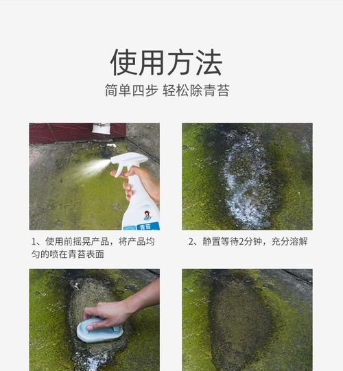 水泥地面上的青苔怎么才能彻底清除