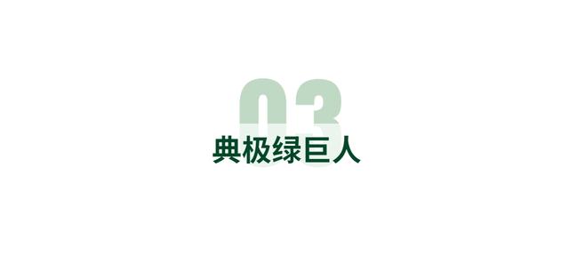 新西兰羊奶粉排名（三款新西兰奶源羊奶粉PK）(6)