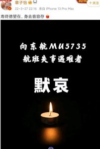 ​娱乐圈里的文盲事件盘点（网友劝章子怡没文化就别硬凹了）