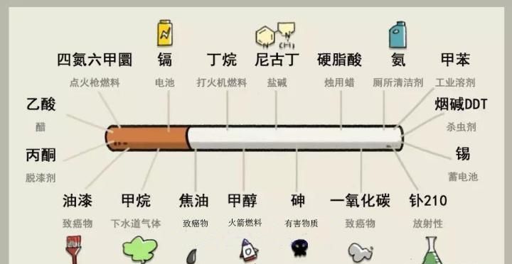 香烟的起源及历史