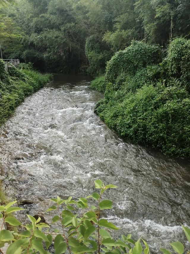 仙女山露营烧烤耍水最佳营地推荐 打卡象头山雷公峡(15)