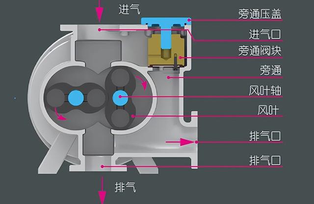 罗茨泵原理及结构（罗茨泵的工作原理）(1)