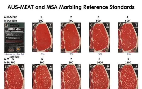 澳洲和牛的等级M1~M12怎么分法