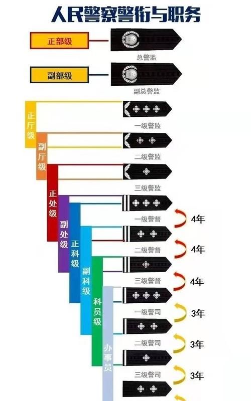 军队文职人员的岗位等级怎么划分