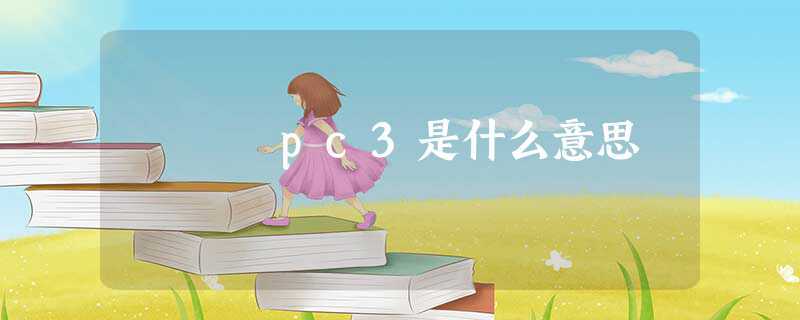 pc3是什么意思(内存PC3)