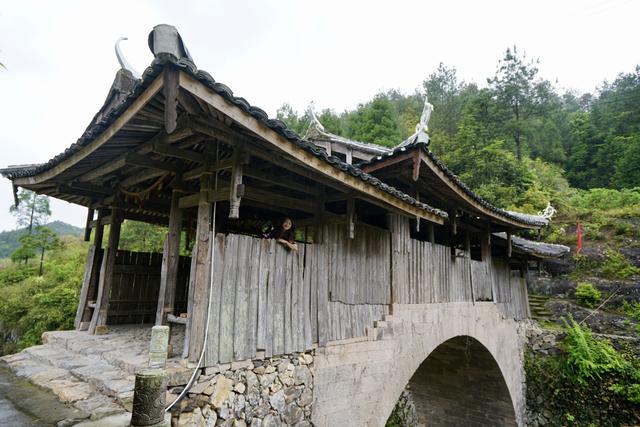 温州泰顺游玩攻略（跟着历史游泰顺）(6)