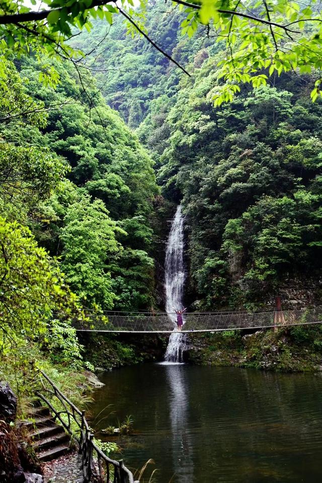 温州泰顺游玩攻略（跟着历史游泰顺）(8)