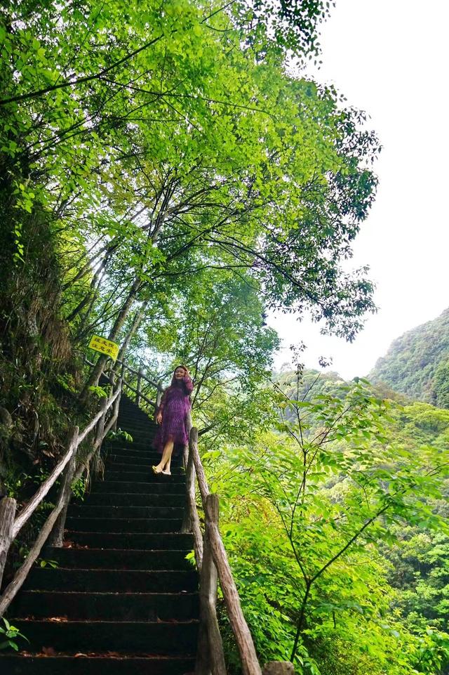 温州泰顺游玩攻略（跟着历史游泰顺）(2)