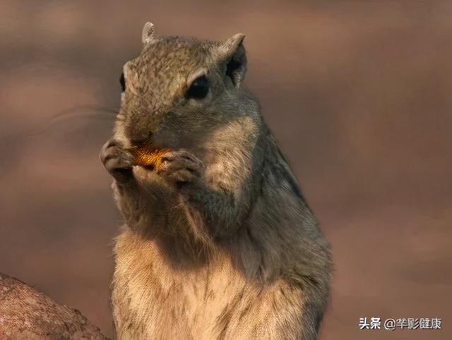 双下巴很严重如何减掉（四个方法快速帮你减去双下巴）(3)