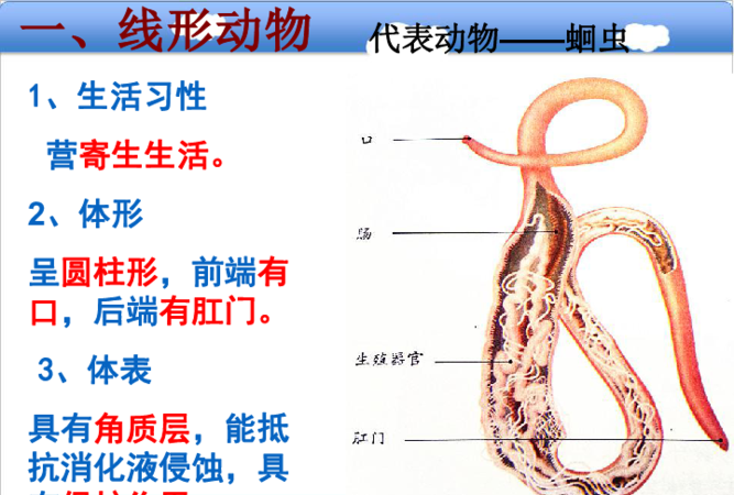 线形动物都是寄生的对不对