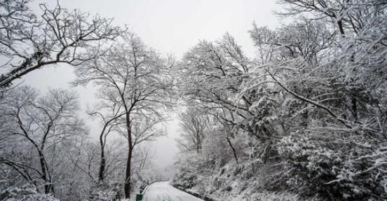 你最喜欢的关于雪的诗句是哪一句呢图7