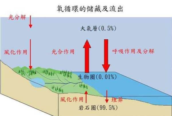 海水中的氧气怎么来的,溶解在海水中的氧气主要是由大气和海洋中的图2