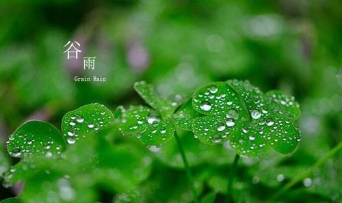 谷雨节气的含义是什么意思9