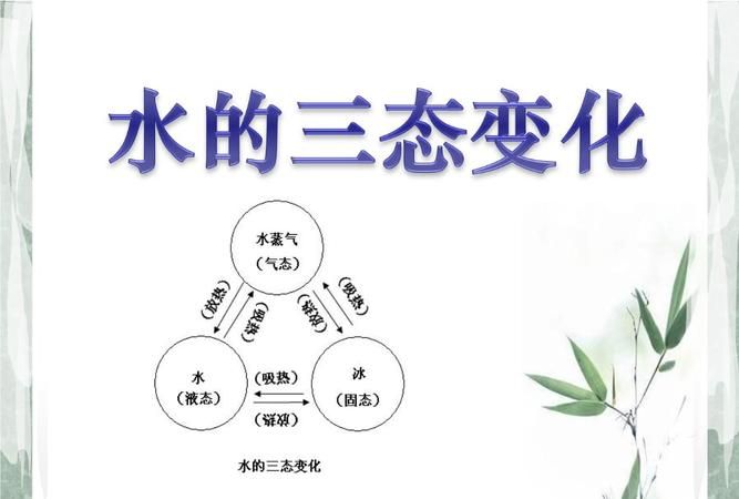 你在生活中看到水的变化吗写一写