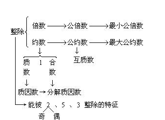 什么是互质数 并举例说明视频,互质数是什么图1