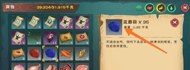 创造与魔法怎么抓到血蜥蜴 血蜥蜴吃什么