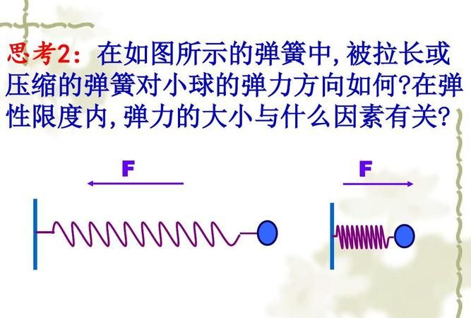 什么是弹力