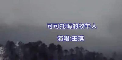 ​那夜的雨也没能留住你是什么歌，演唱者是谁？