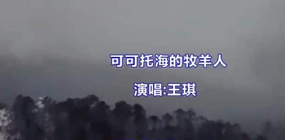 那夜的雨也没能留住你是什么歌