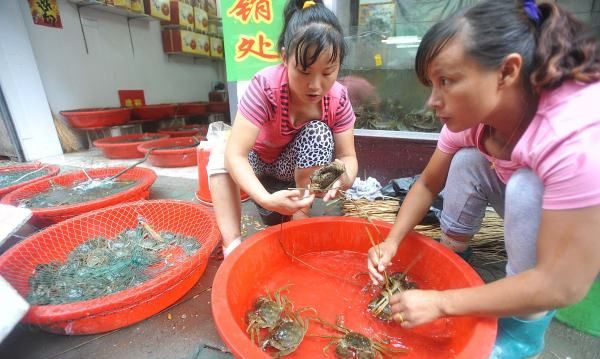 梭子蟹蒸熟了保存多久,梭子蟹蒸熟保存多久不能吃图4