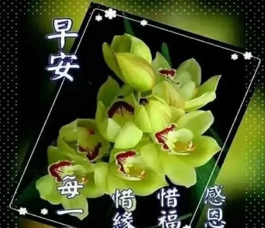 芒种节气早安问候语图片