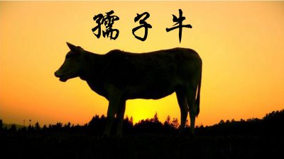 ​孺子牛是指什么样的人（孺子牛是形容哪一类人的）