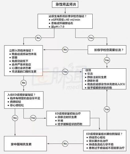 急性肾盂肾炎的典型临床表现(急性肾盂肾炎严重吗)-第1张图片-