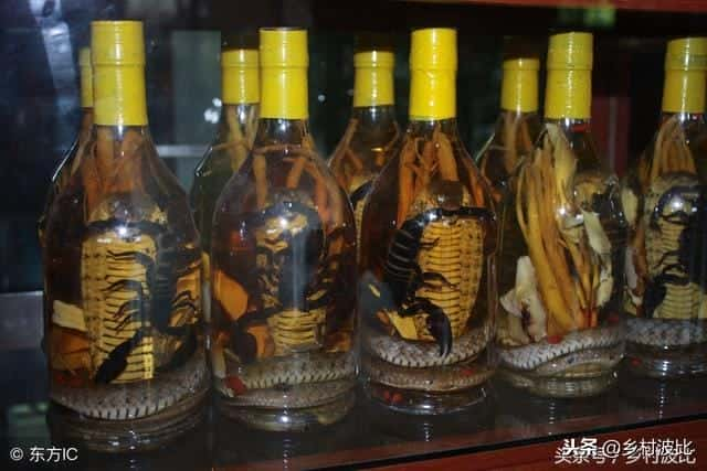 蝎子泡酒起什么作用（蝎子泡酒的功效与作用）