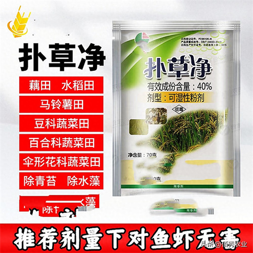 扑草净都适应哪些作物(扑草净能苗后除草吗)