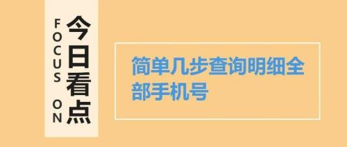 手机号码地区查询器(本机手机号码查询方式)-第1张图片-