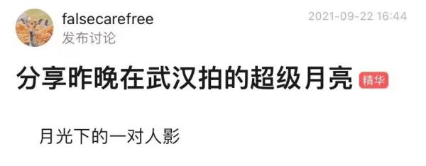 我想藏在温柔月光里是什么歌曲(我想藏在温柔月光里是什么歌曲的歌词)