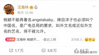 ​Angelababy 放弃英文名，改用中文名「杨颖」了吗？为什么