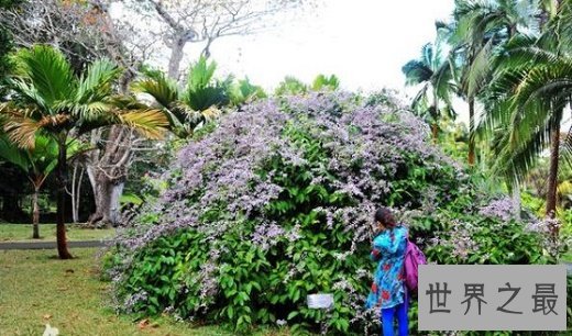 全球十大亲子旅游地，带孩子体验世界的斑斓