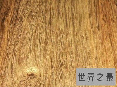 全球十大最名贵的木材大盘点，你家家具入围了吗？