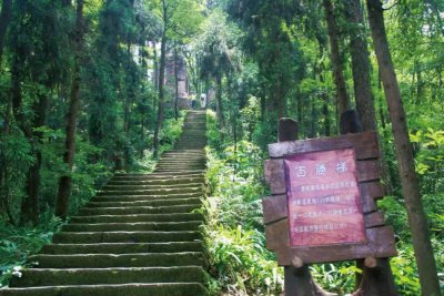 ​【重庆风景名胜】歌乐山森林公园