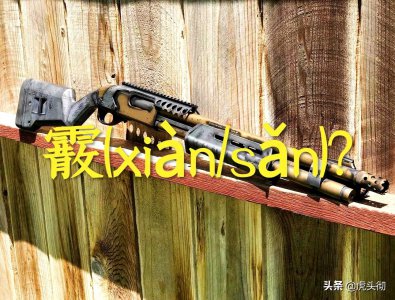 ​“霰xiàn弹枪”还是“散sǎn弹枪”？网络军事家为啥较真？