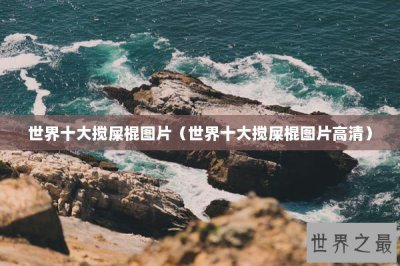 ​世界十大搅屎棍图片（世界十大搅屎棍图片高清）