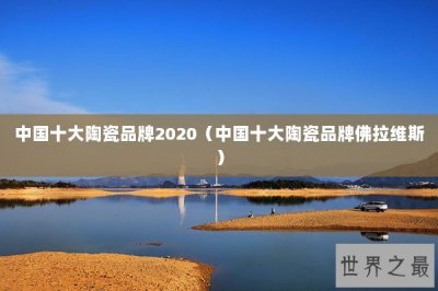 ​中国十大陶瓷品牌2020（中国十大陶瓷品牌佛拉维斯）