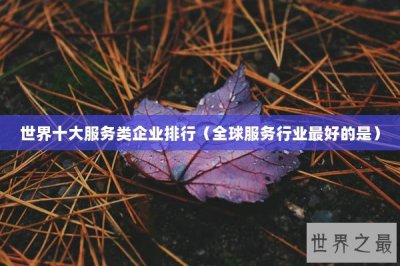 ​世界十大服务类企业排行（全球服务行业最好的是）