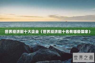 ​世界经济前十大企业（世界经济前十名有哪些国家）