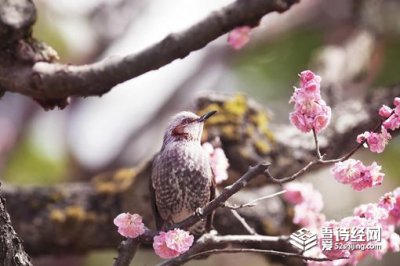 ​躲春时间和方法介绍